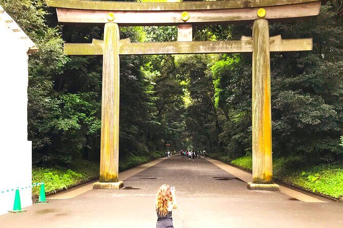 Tokyo Full Course Tour: Explore 15 Must-See Sights & Hidden Gems - Why You’ll Love This Tour