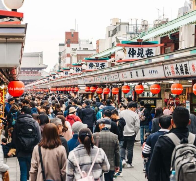 Tokyo Full Day Customizable Private Tour with English Guide - Key Points