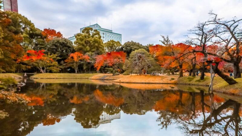 tokyo-full-day-japanese-garden-private-guided-tour