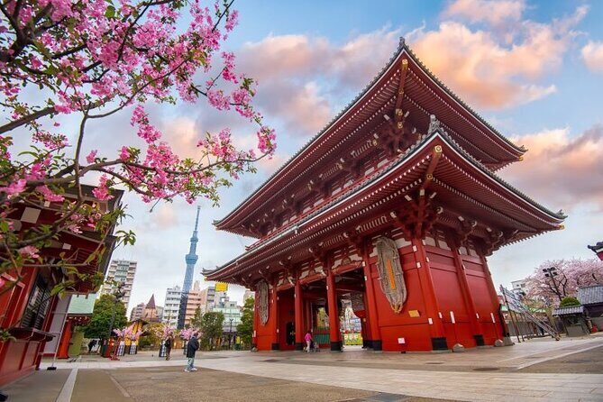 Tokyo Full Day Private City Tour - Who Would Love This Tour?