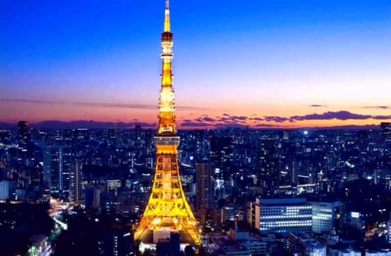 Tokyo Full-Day Private Customizable Tour With English Driver - Practical Aspects of the Tour