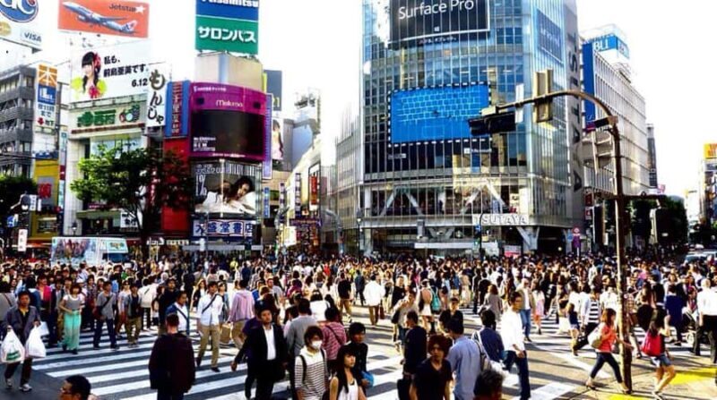 Tokyo Full-Day Private Customizable Tour with English guide - A Deep Dive into the Experience