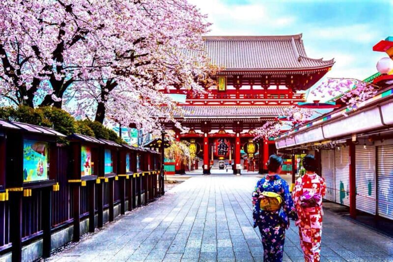 Tokyo Full-Day Private Customizable Tour with English guide - What Makes This Tour Stand Out