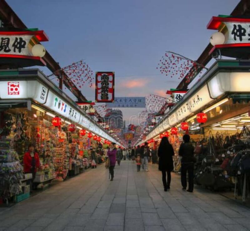 Tokyo Full Day Private Customizable Tour with Guide - Key Points