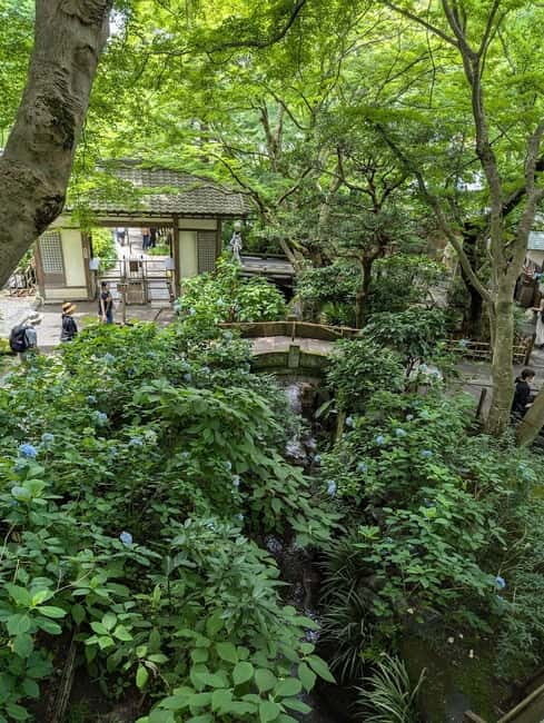 Tokyo: Full-day Private Kamakura and Enoshima Tour w/ Driver - Authentic Insights from Reviewers