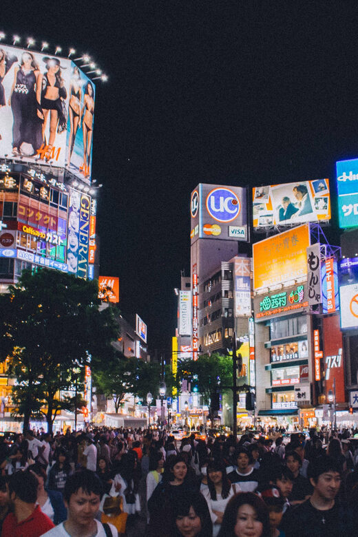 Tokyo: Full Day Private Tour by Luxury Vehicle - Practical Considerations and Cost Analysis