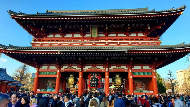 Tokyo Full-Day Private Tour (Customizable) - An introduction to Tokyo’s vibrant mix of old and new