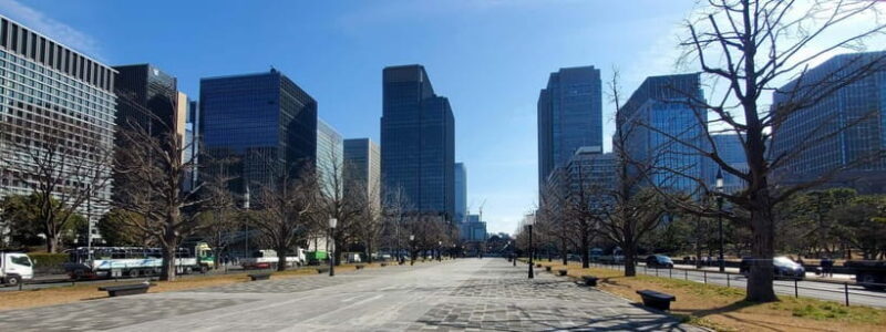 Tokyo Full-Day Private Tour (Customizable) - Cost and value