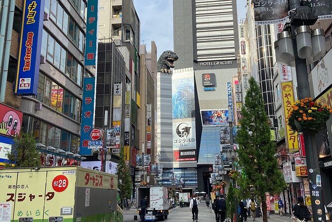 tokyo-full-day-private-tour-with-english-guide-driver