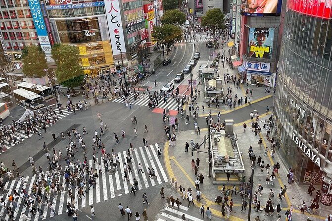 tokyo-full-day-private-tour-with-english-guide-driver