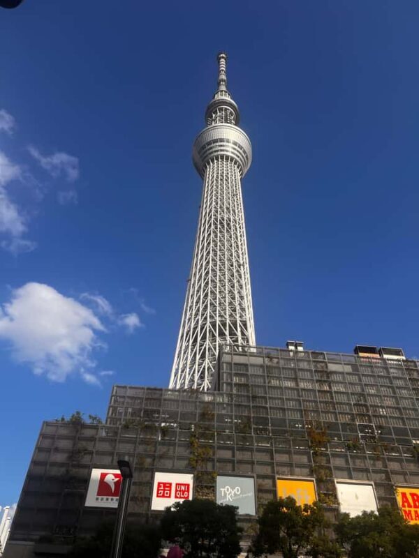 Tokyo Full-Day Sightseeing City Tour with English Driver - Key Points