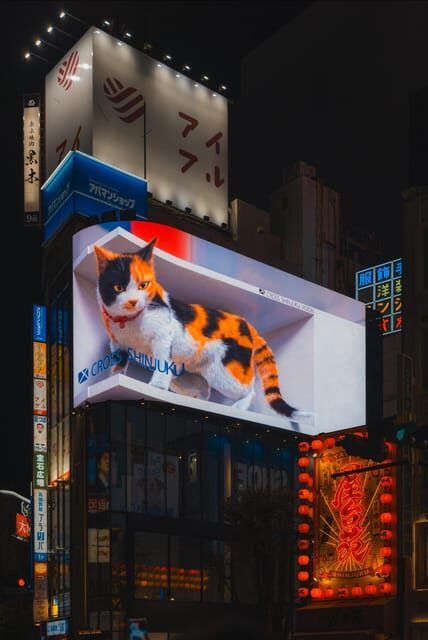 Tokyo full day Spanish speaking tour with hotel pick up and drop off. - Price Analysis and Value