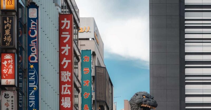 Tokyo full day Spanish speaking tour with hotel pick up and drop off. - The Sum Up