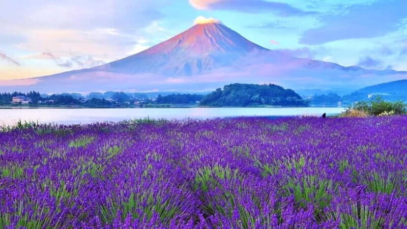 Tokyo: Full-Day Tour of the Six Majestic Spots of Mt Fuji - Key Points