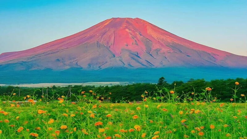 Tokyo: Full-Day Tour of the Six Majestic Spots of Mt Fuji - Why Choose This Tour?