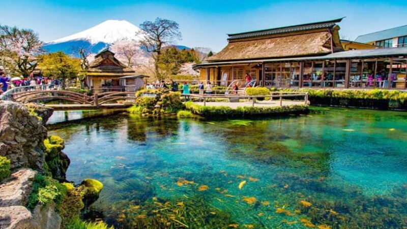 Tokyo: Full-Day Tour of the Six Majestic Spots of Mt Fuji - The Sum Up