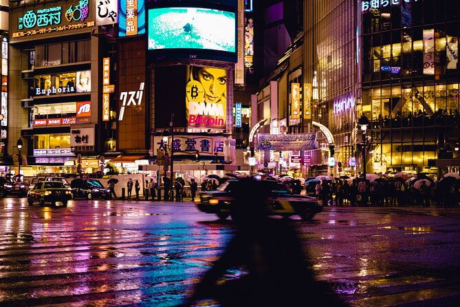 tokyo-full-day-trip-with-private-guide-and-luxury-car