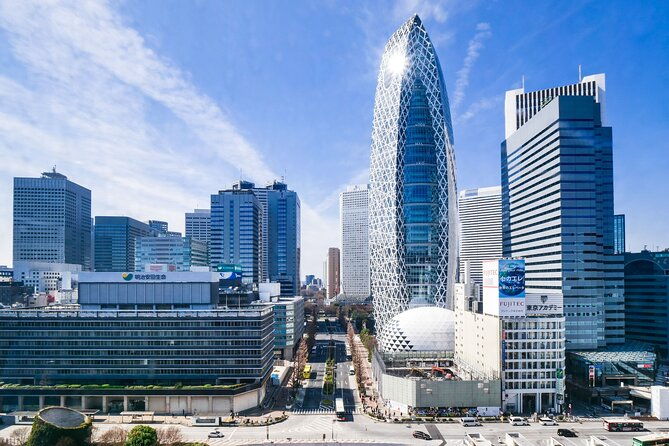tokyo-full-day-trip-with-private-guide-and-luxury-car