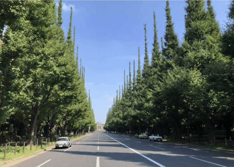 tokyo-gaienmae-ginkgo-avenue-walk-and-vegan-dinner-tour