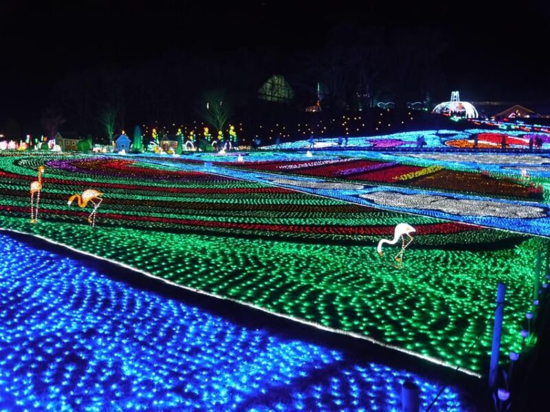 Tokyo: German Village Lighting and Farm Experience - The Last Leg and Return