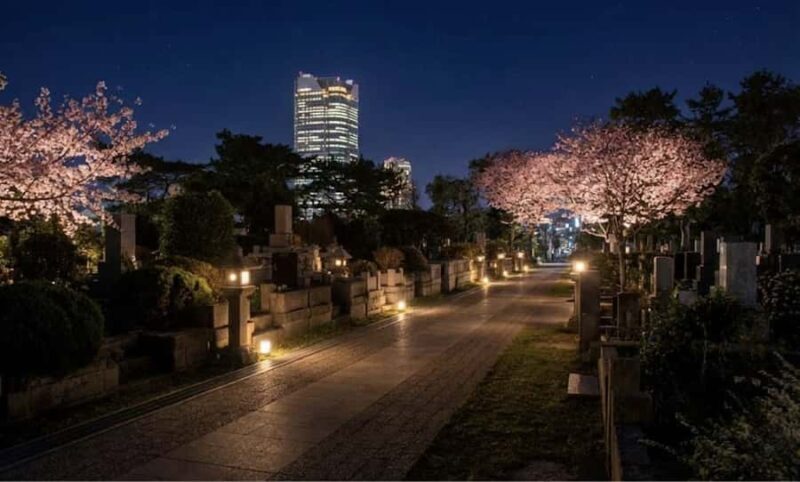 Tokyo Ghost Tour: Dark Tales, Urban Legends & Cemetery Night - Who Is This Tour For?