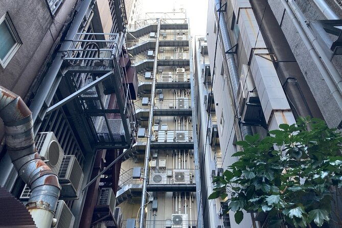 tokyo-ginza-deep-back-alley-walking-tour-2