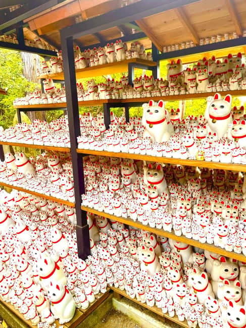 Tokyo: Gotokuji Cat Temple, Shinjuku Cat Cafe & 3D Cat Tour - Discovering the Heart of Tokyo’s Cat Culture