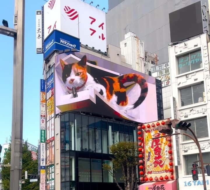 Tokyo: Gotokuji Cat Temple, Shinjuku Cat Cafe & 3D Cat Tour - FAQs