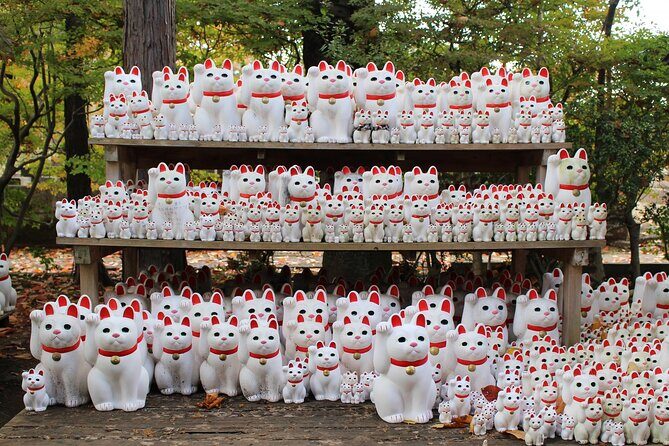 Tokyo: Gotokuji Temple and Shimokitazawa Day Tour - Is This Tour Right for You?