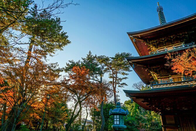 Tokyo: Gotokuji Temple and Shimokitazawa Day Tour - The Sum Up: Who Will Love This Tour?
