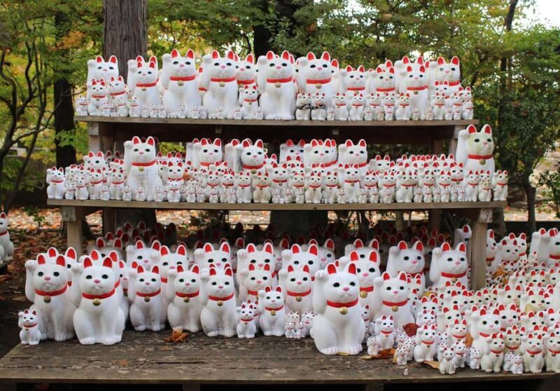 Tokyo: Gotokuji Temple and Shimokitazawa Day Tour - Practical Details: How the Day Unfolds