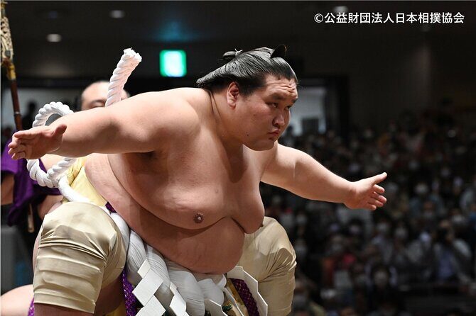 Tokyo Grand Sumo Tournament Viewing Tour - The Sum Up
