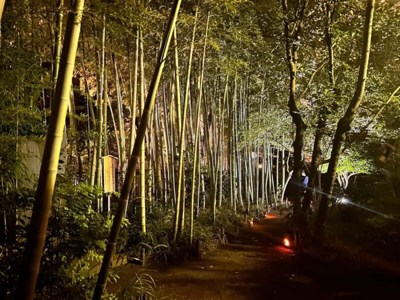 TOKYO: Guided Garden Tour with SP Dinner by E-bike -NIGHT - Assessing the Value: Is It Worth It?