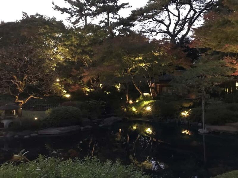TOKYO: Guided Garden Tour with SP Dinner by E-bike -NIGHT - The Sum Up