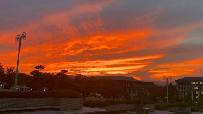 TOKYO: Guided Garden Tour with SP Dinner by E-bike -NIGHT - FAQ