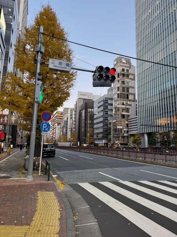 Tokyo: Guided Walking Tour of Theatres and Musicals - Practical Details and Tips for Your Tour