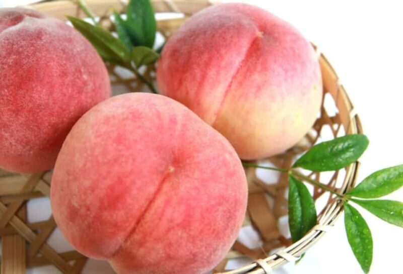 Tokyo: Gunma Scenic Day Trip with Fruit Picking, Crab Lunch - Key Points