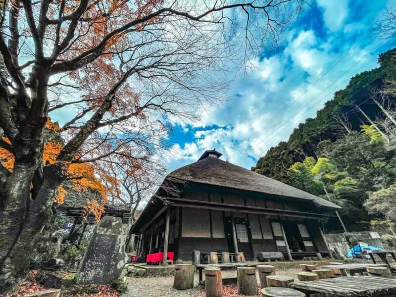 Tokyo: Hakone Day Tour With Teahouse Hearth, Cruise, Volcano - An In-Depth Look at the Hakone Day Tour