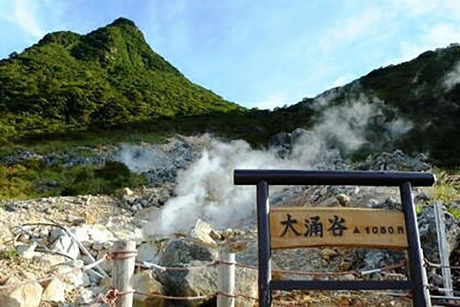 tokyo-hakone-fuji-day-tour-w-cruise-cable-car-volcano-2