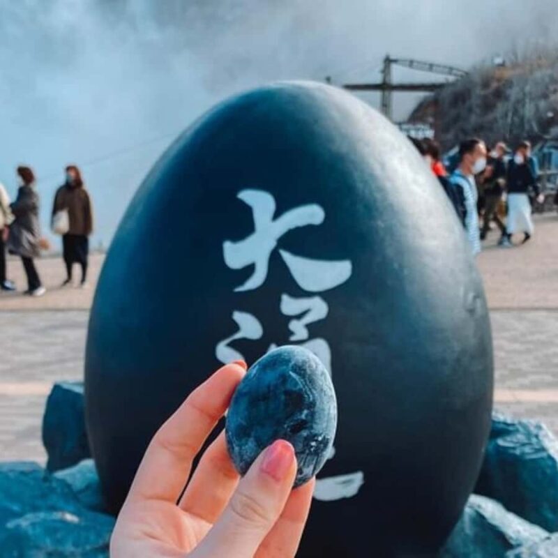 Tokyo Hakone Full Day Private Customised Itinerary In Prado - Transportation and Timing