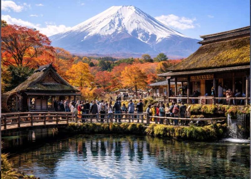 Tokyo Hakone Full Day Private Customised Itinerary In Prado - Who Will Love This Tour?