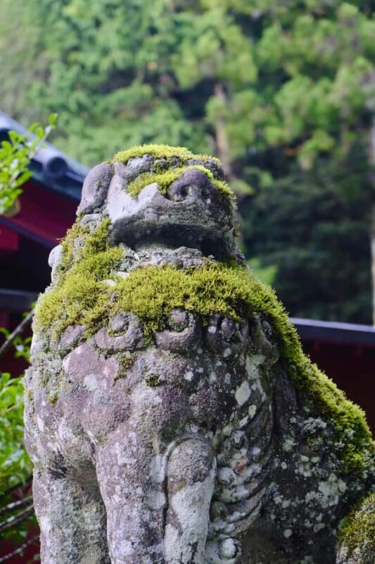Tokyo: Hakone Full-Day Private Guided Tour with Pickup - Introduction: Why This Hakone Tour Might Be Your Perfect Day Out
