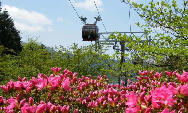 Tokyo: Hakone, Lake Ashi & Gotemba Outlets Day Trip - An Overview of the Tour Experience