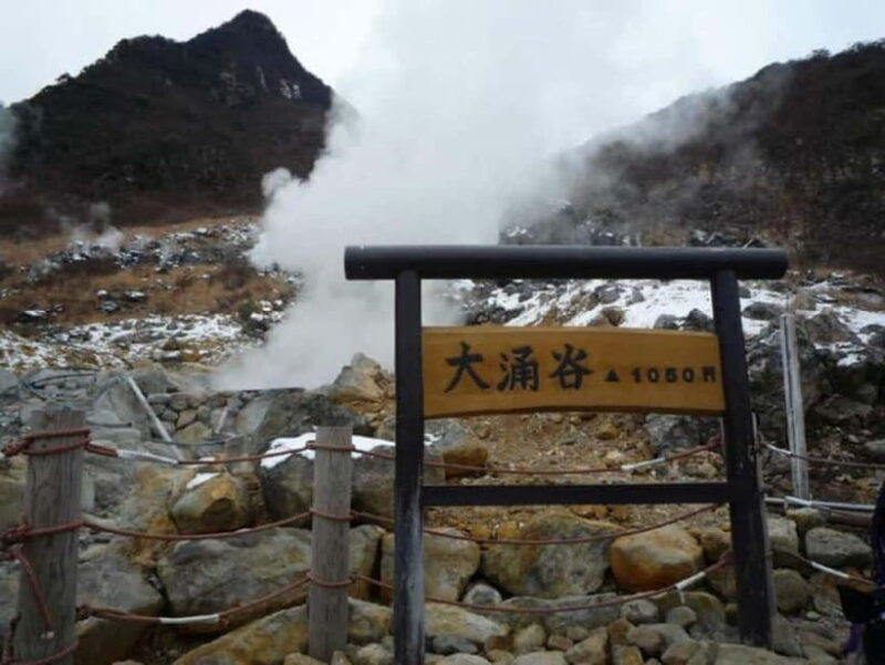 Tokyo: Hakone, Lake Ashi & Gotemba Outlets Day Trip - Lunch: Japanese BBQ Buffet