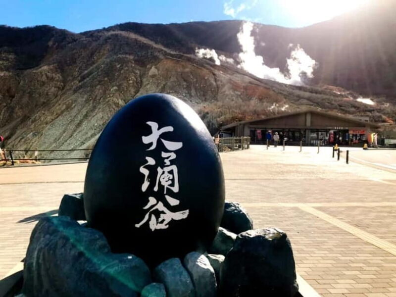 Tokyo: Hakone, Owakudani & Gotemba Premium Outlet 1-Day Tour - Practical Details and Considerations