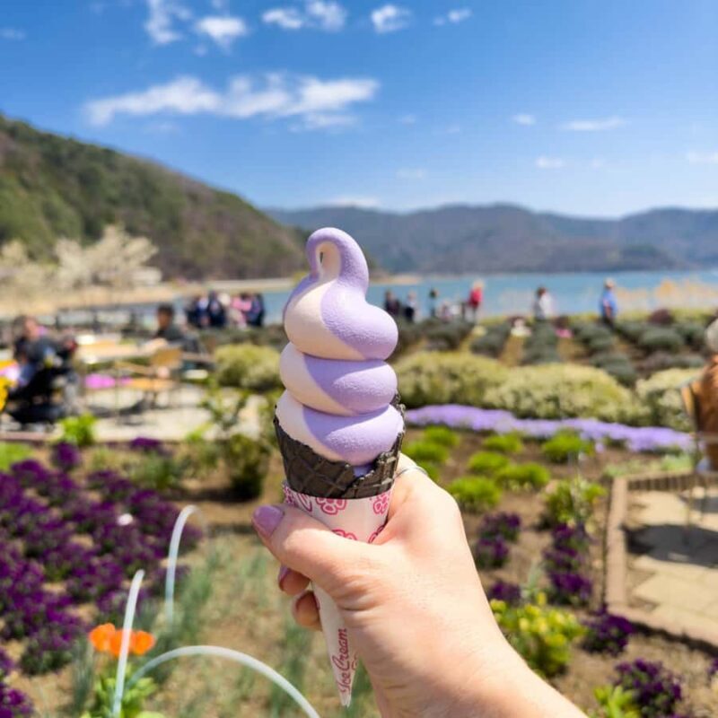 Tokyo: Hakone Private Tour By English Verbal Driver In Prado - The Sum Up