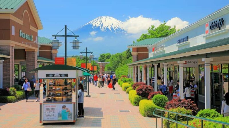 Tokyo: Hakone Private Tour with Spa and Ropeway Ride - Who Is This Tour Best For?