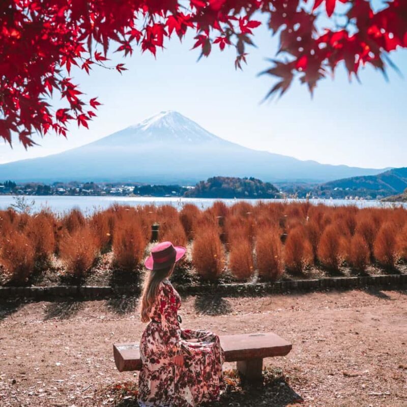 Tokyo: Hakone Ropeway, Museum, Shrine Private Full Day Tour - Who Should Consider This Tour?