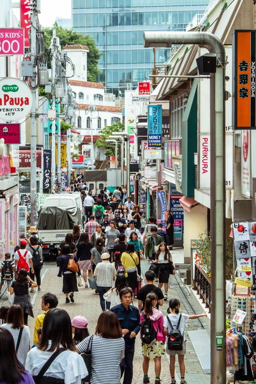 tokyo-half-day-afternoon-small-group-tour