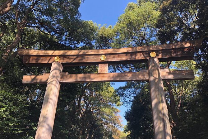 tokyo-half-day-customized-private-tour